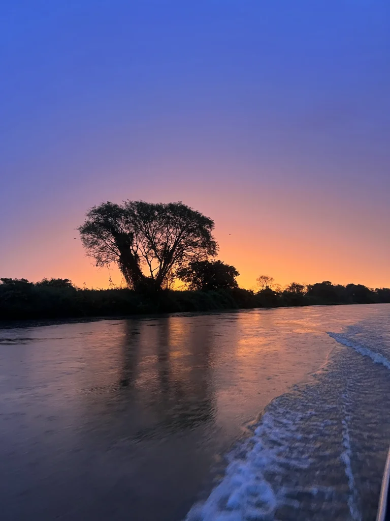 Que faire au Pantanal ?